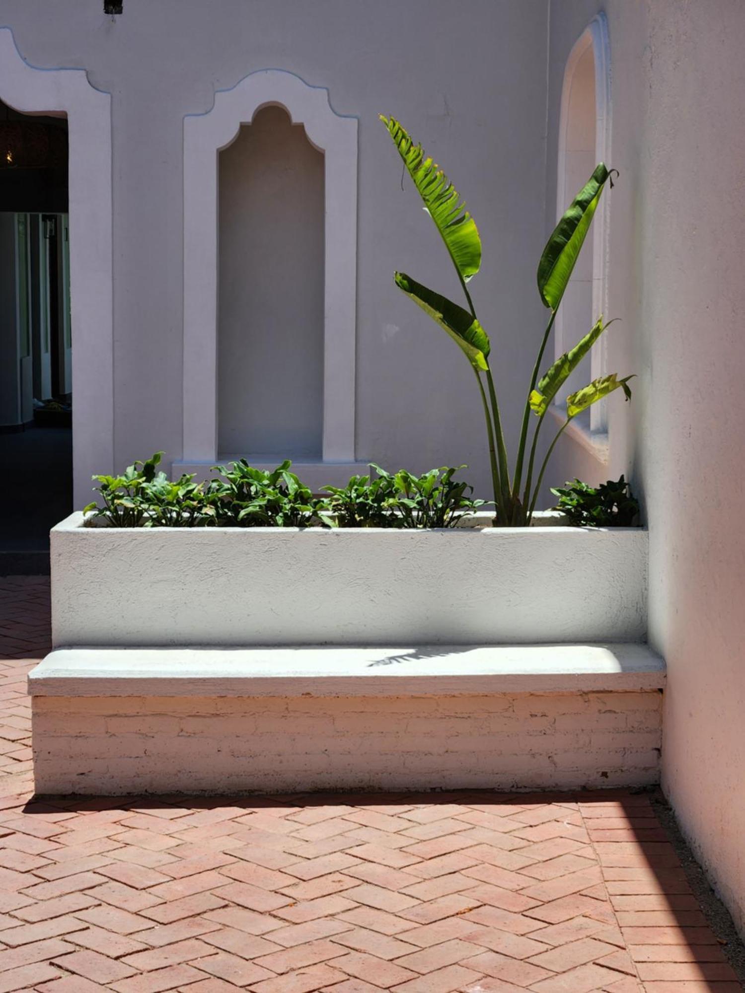 Hotel Boutique Villa Escondida, A Pasos De Lo Mejor En Tlaquepaque Εξωτερικό φωτογραφία